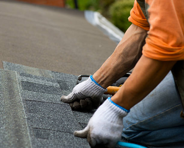 Quick and Trustworthy Emergency Roof Repair Services in West Belmar, NJ